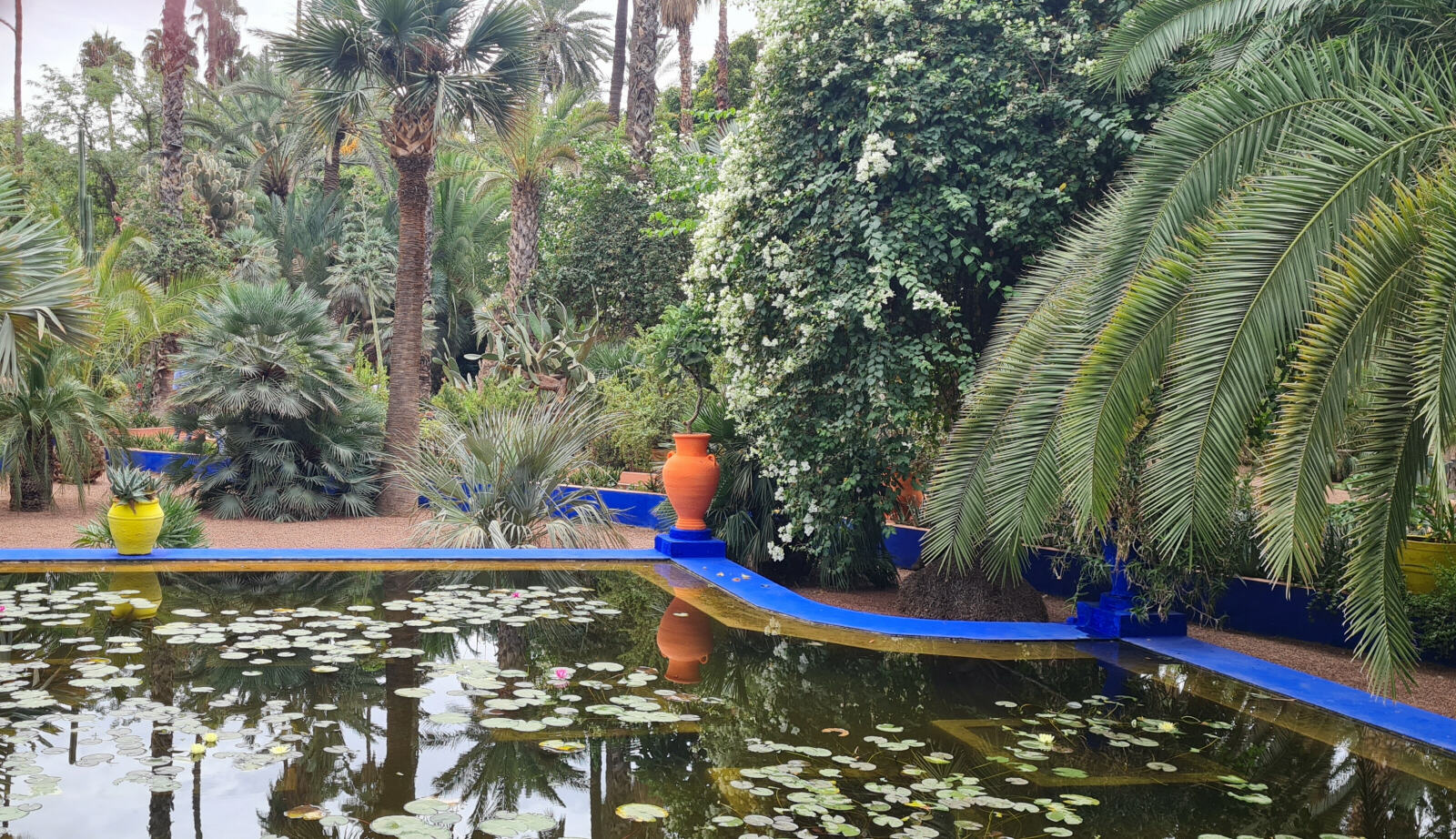 The Jardin Majorelle in Marrakech