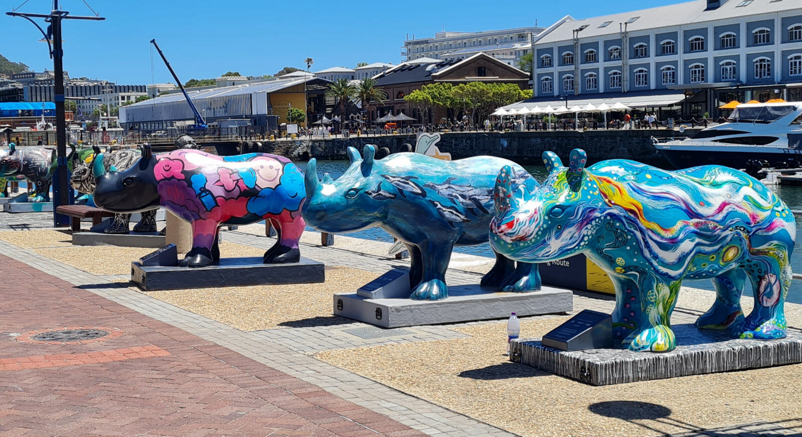Rhinos on Victoria and Alfred waterfront, Cape Town