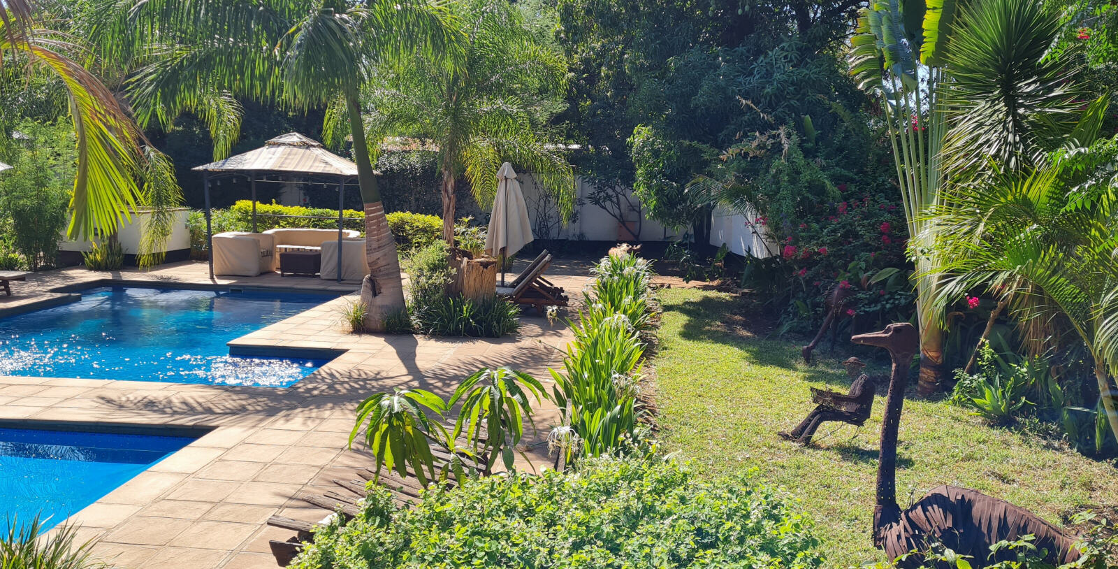 The pool at Ngoma Zanga lodge, Livingstone