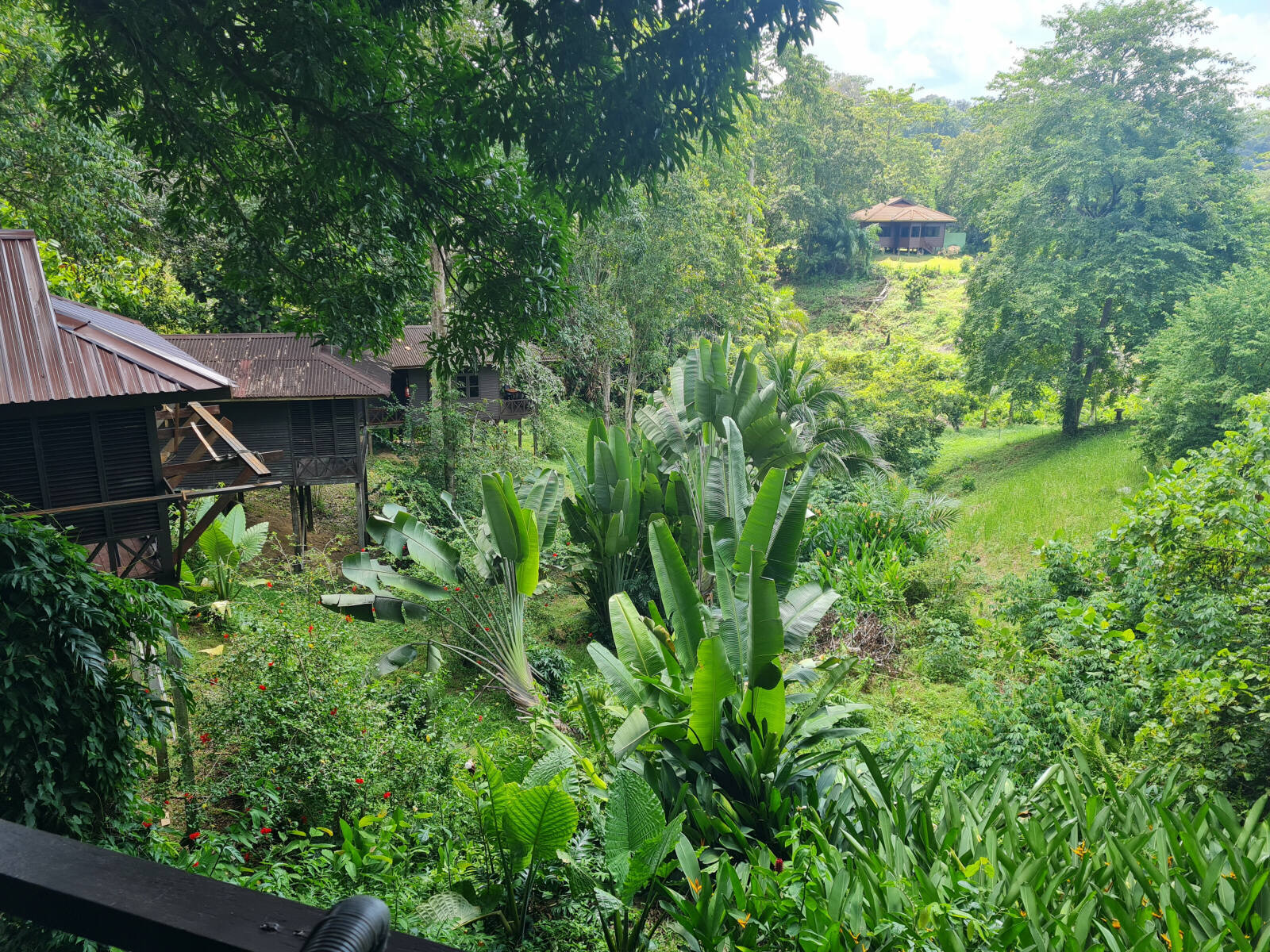 The Forest Edge resort at Sepilok in Saba, Borneo