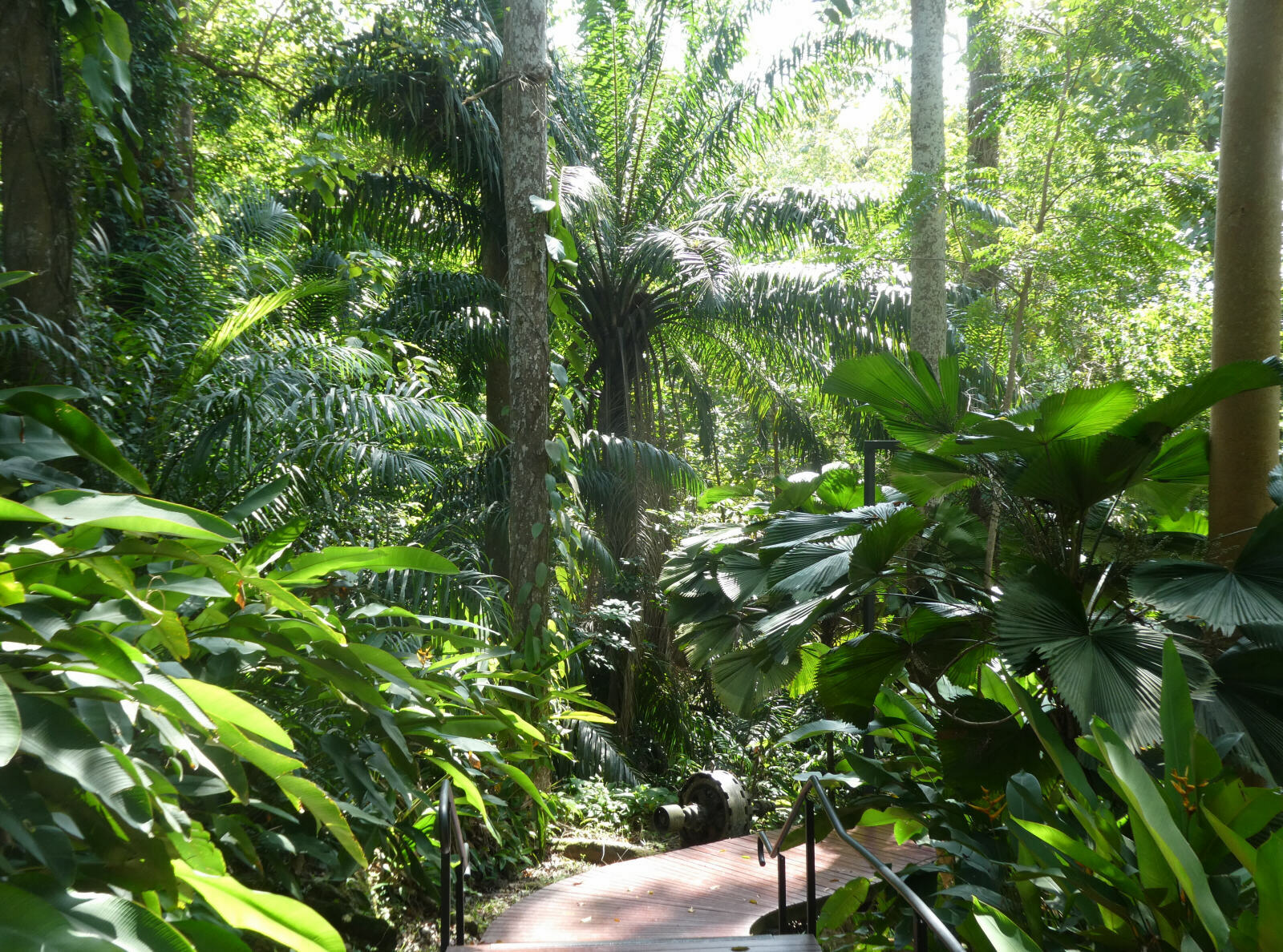 In the war memorial gardens at Sandakan, Saba, Borneo