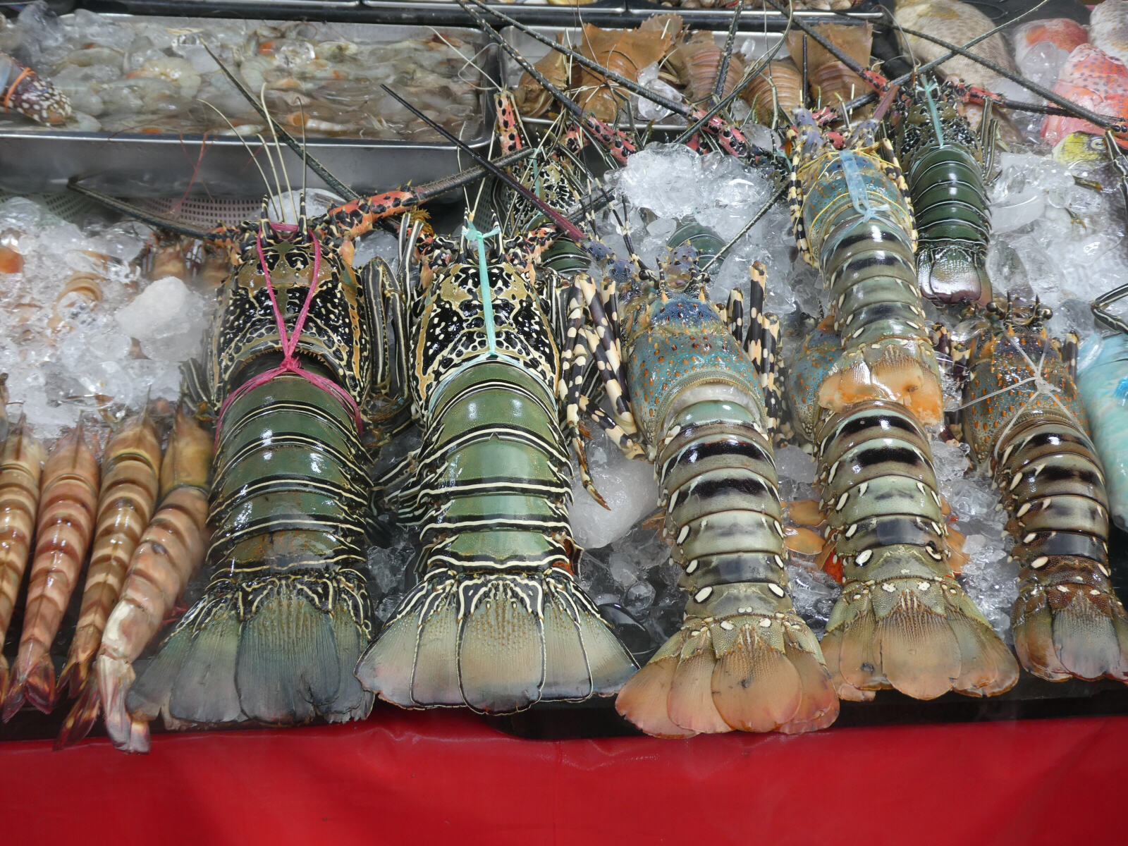 Lobsters in the night market at Kota Kinabalu, Saba, Borneo