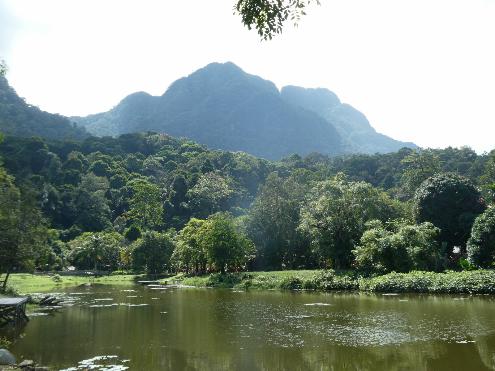 The lake in the centre of the Sarawak Cultural Village near Kuching