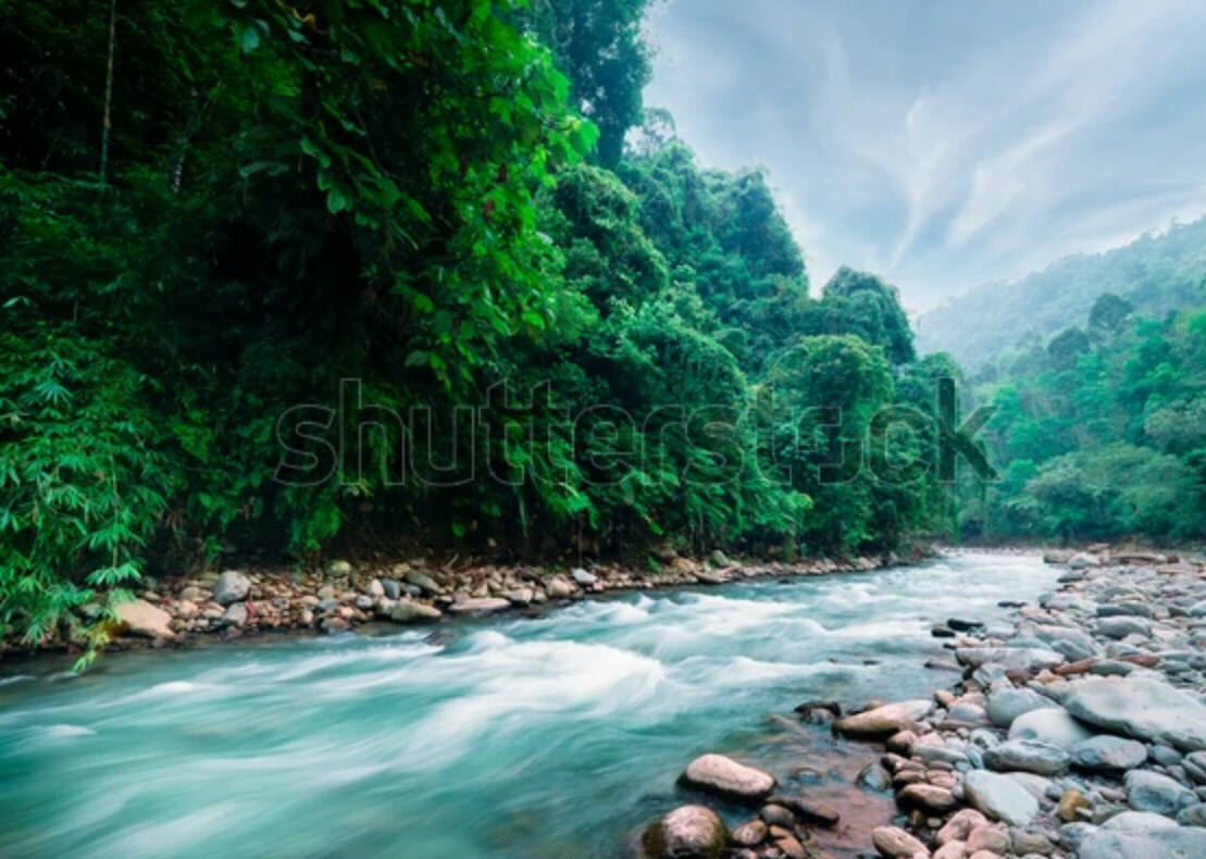 In the mountains of central Sumatra, Indonesia (image from Shutterstock.com)