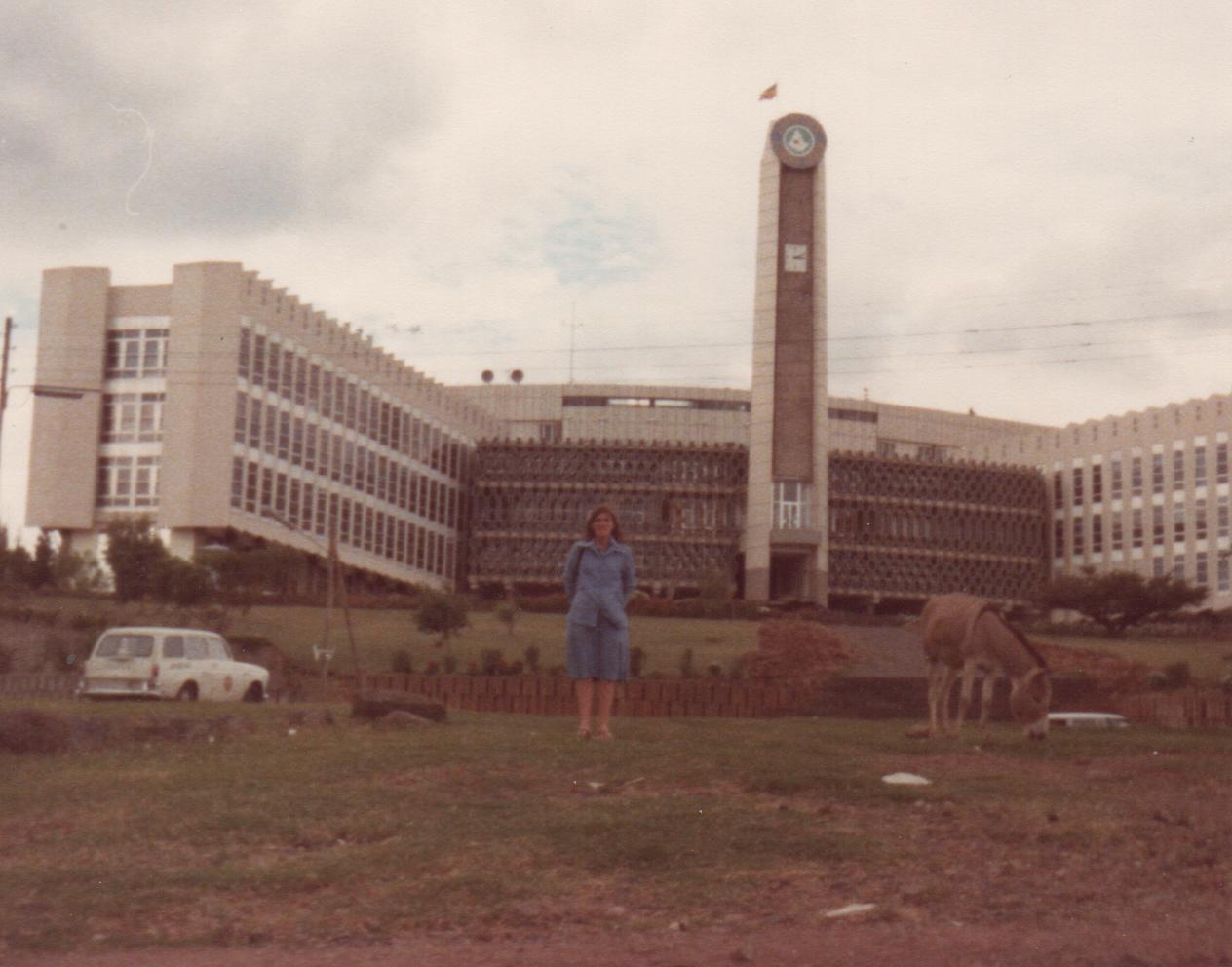 The Municipality Addis Ababa