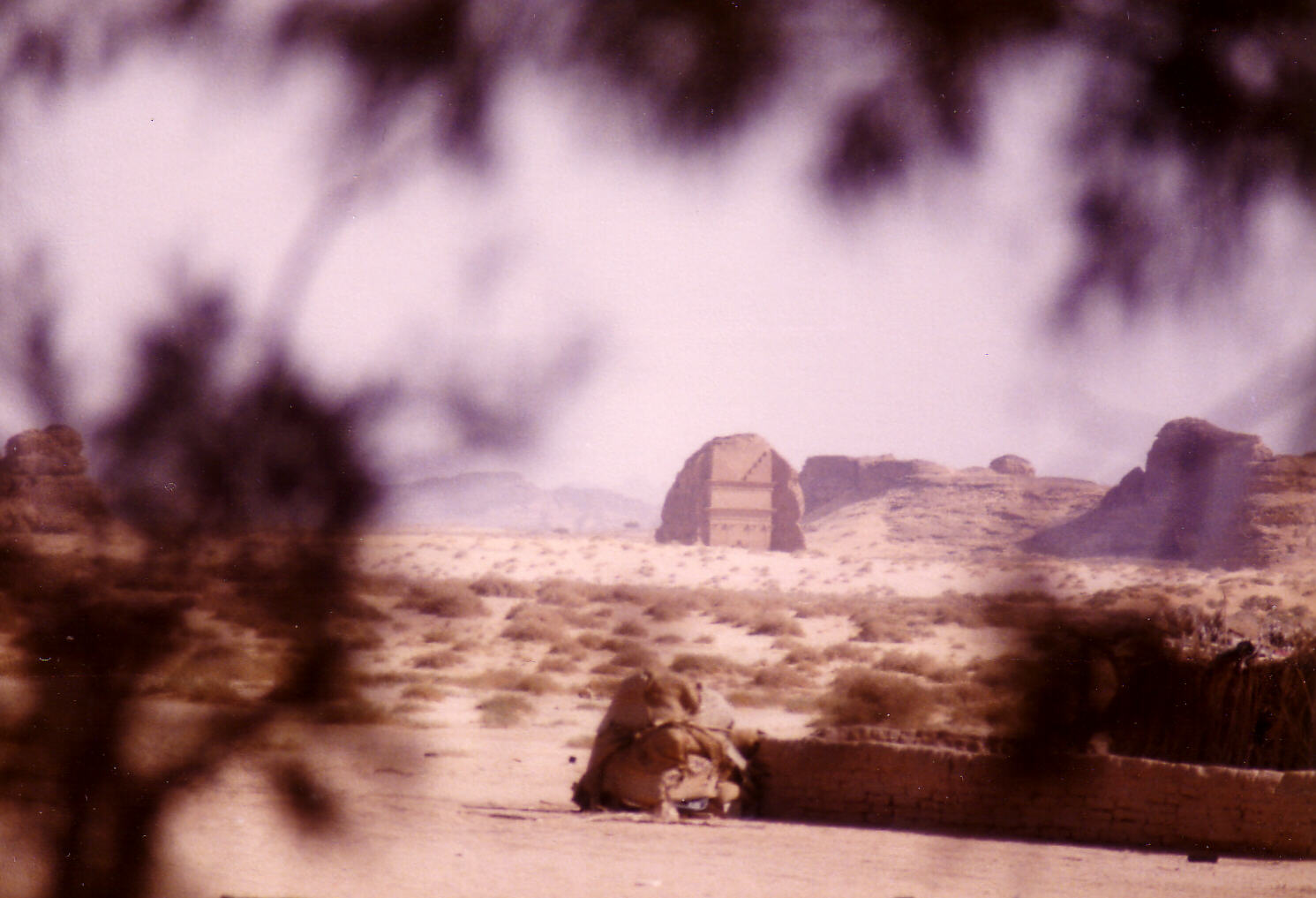 Nabatean tomb at Madain Saleh in Saudi Arabia in 1980