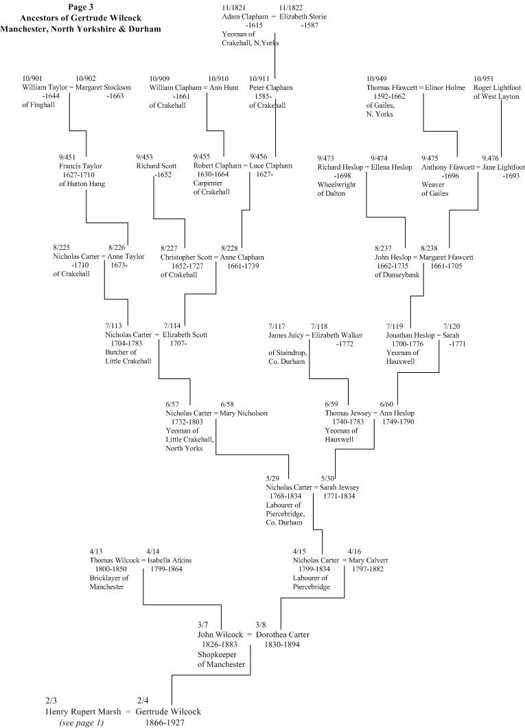 Marsh family tree page 3, Wilcock, Carter and others of Manchester and North Yorkshire