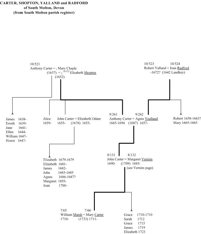 Carter, Shopton, Yalland and Radford of South Molton, Devon family tree