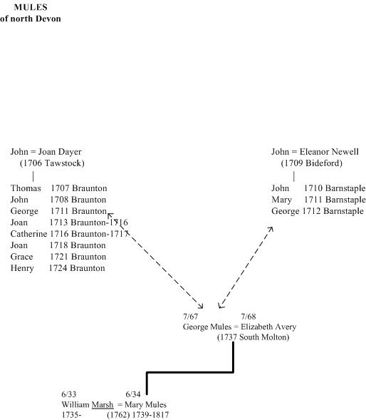 Mules of north Devon family tree