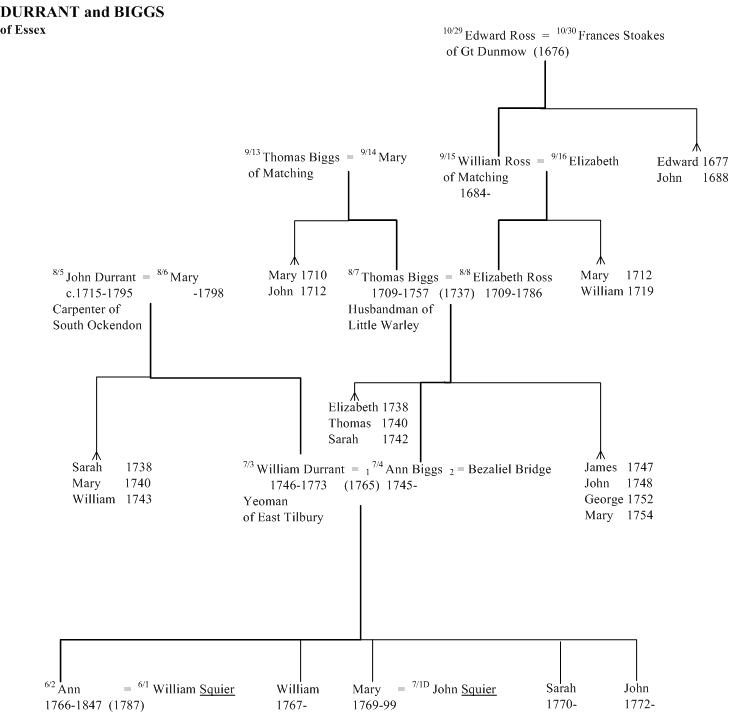 Durrant and Biggs of Essex family tree